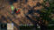 Empires of the Undergrowth