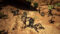 Dragon’s Dogma II